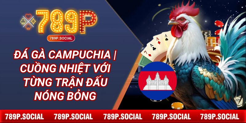 Đá Gà Campuchia 789P | Cuồng Nhiệt Với Từng Trận Đấu Nóng Bỏng