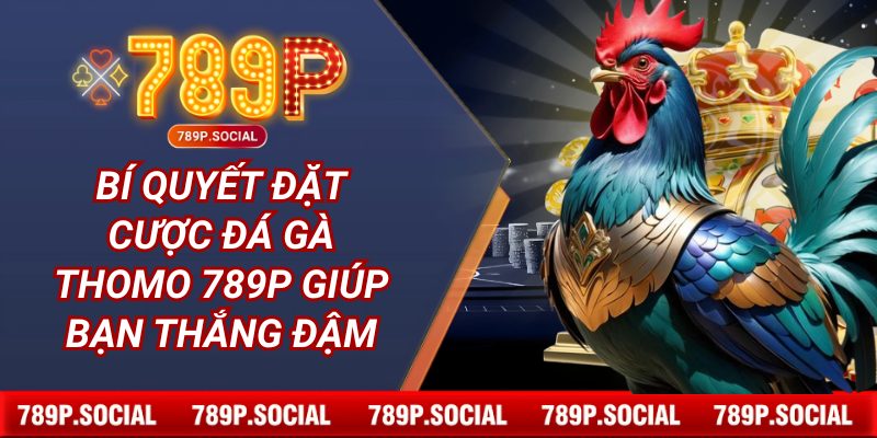 Bí quyết đặt cược đá gà Thomo 789P giúp bạn thắng đậm