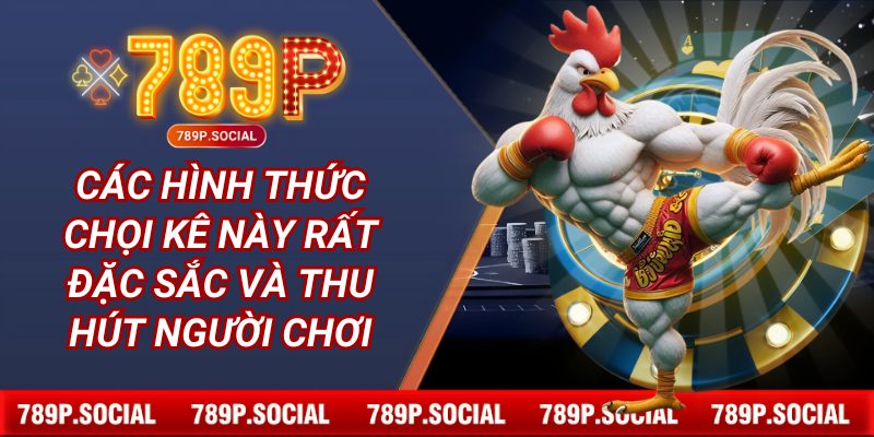 Các hình thức chọi kê này rất đặc sắc và thu hút người chơi