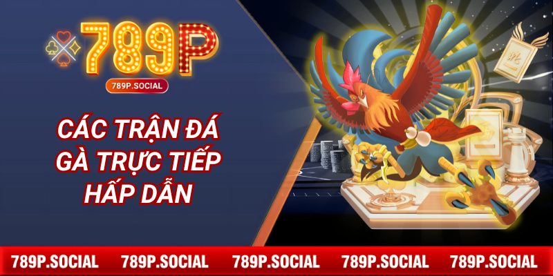 Các trận đá gà trực tiếp hấp dẫn