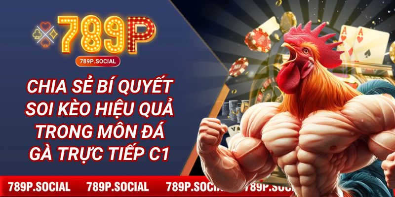 Chia sẻ bí quyết soi kèo hiệu quả trong môn đá gà trực tiếp C1