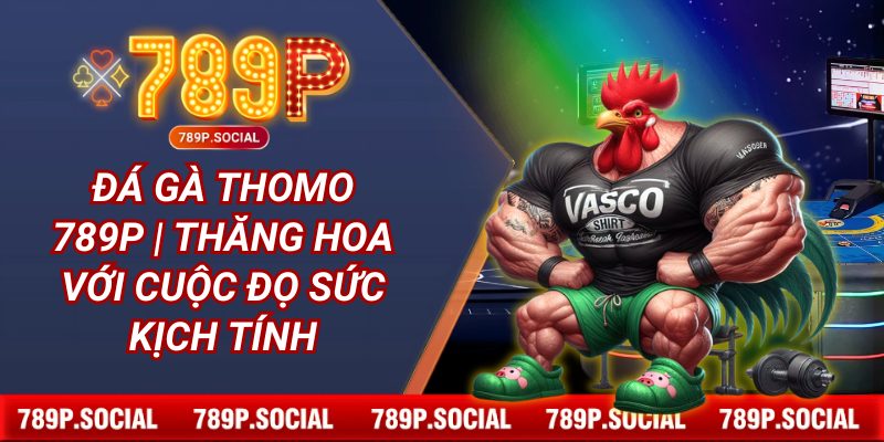 Đá Gà Thomo 789P | Thăng Hoa Với Cuộc Đọ Sức Kịch Tính