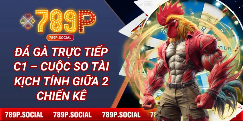 Đá gà trực tiếp C1 – cuộc so tài kịch tính giữa 2 chiến kê