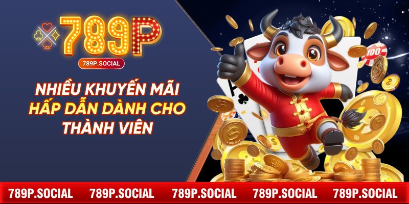 Nhiều Khuyến Mãi Hấp Dẫn Dành Cho Thành Viên