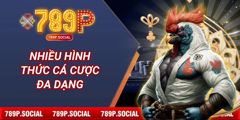 Nhiều hình thức cá cược đa dạng