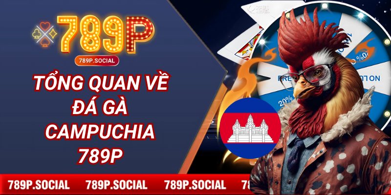 Tổng quan về đá gà Campuchia 789P